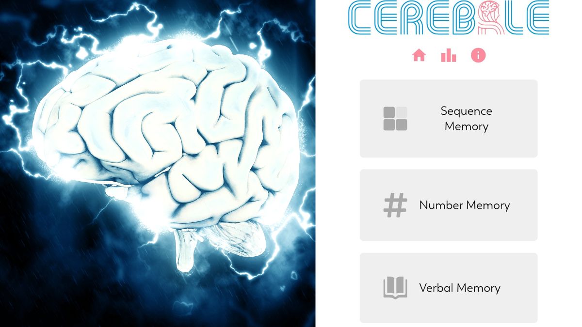 cerebrle game