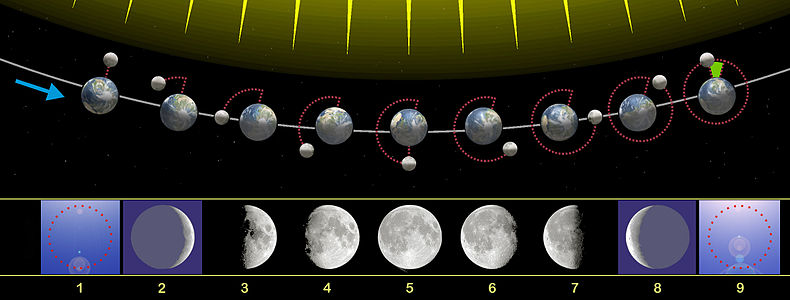 Luna fases